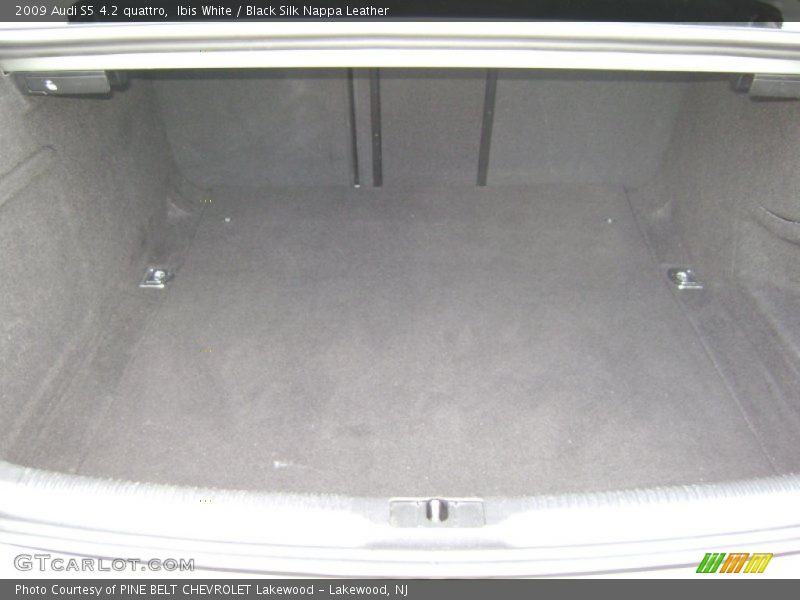  2009 S5 4.2 quattro Trunk