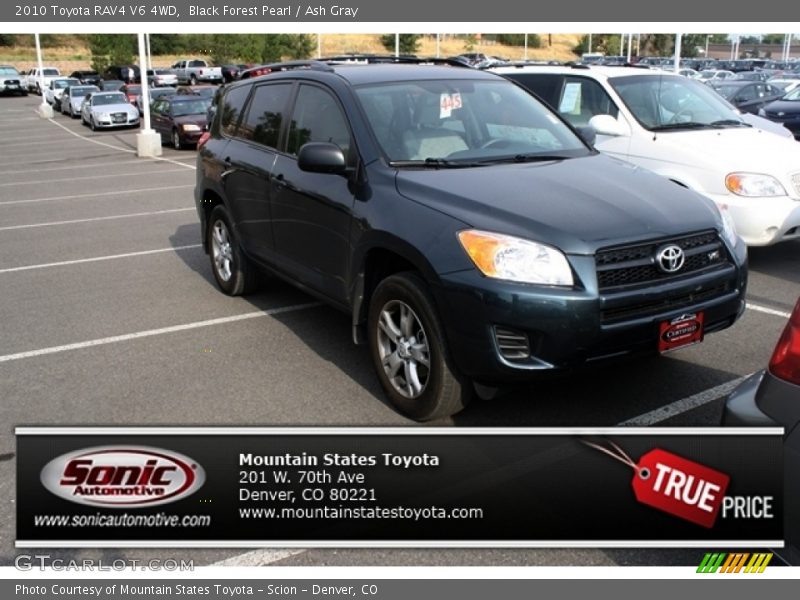 Black Forest Pearl / Ash Gray 2010 Toyota RAV4 V6 4WD