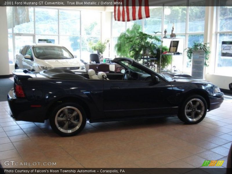 True Blue Metallic / Oxford White 2001 Ford Mustang GT Convertible