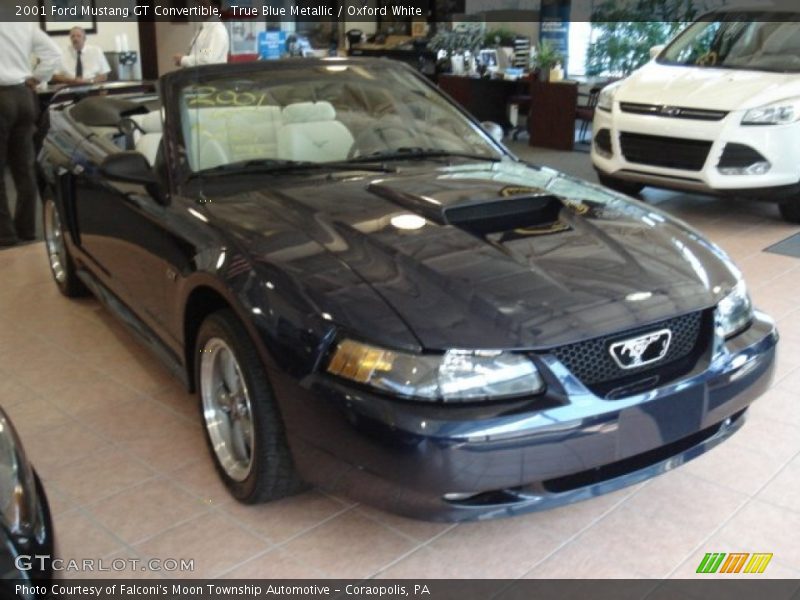 True Blue Metallic / Oxford White 2001 Ford Mustang GT Convertible