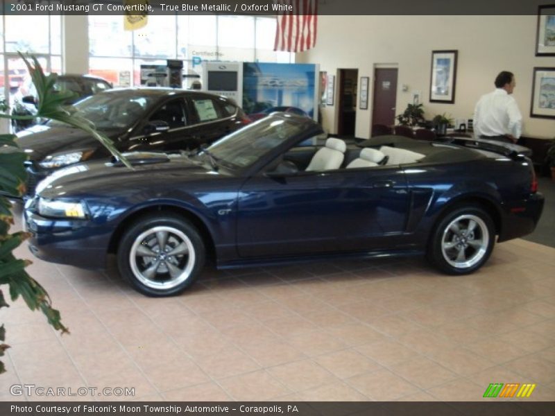 True Blue Metallic / Oxford White 2001 Ford Mustang GT Convertible