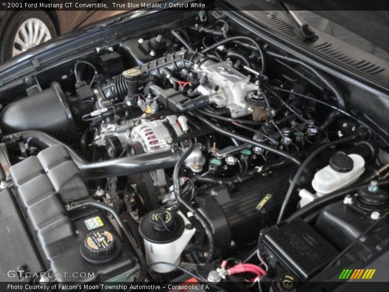 True Blue Metallic / Oxford White 2001 Ford Mustang GT Convertible
