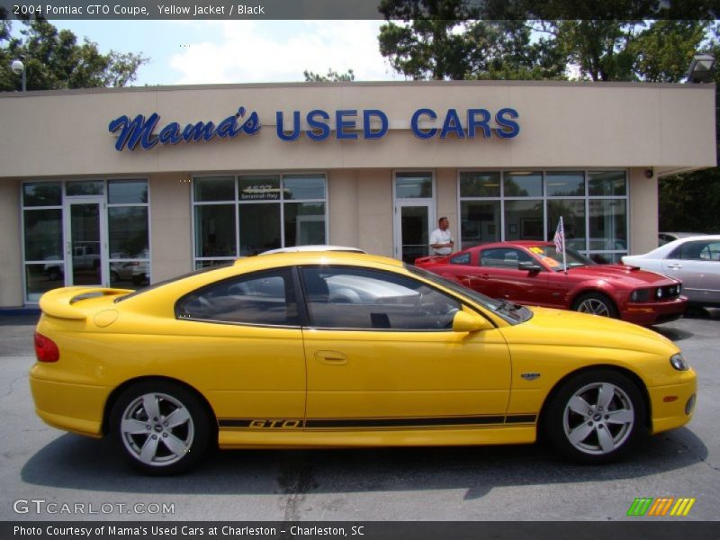 Yellow Jacket / Black 2004 Pontiac GTO Coupe