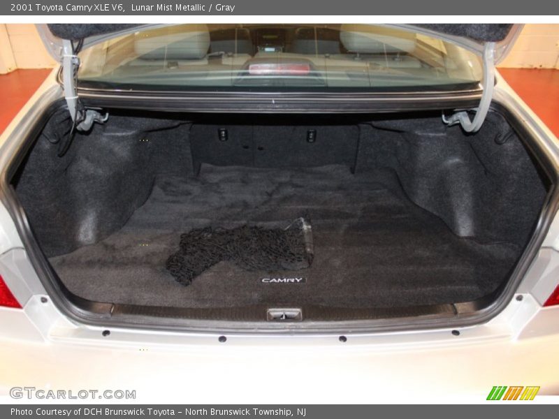 Lunar Mist Metallic / Gray 2001 Toyota Camry XLE V6