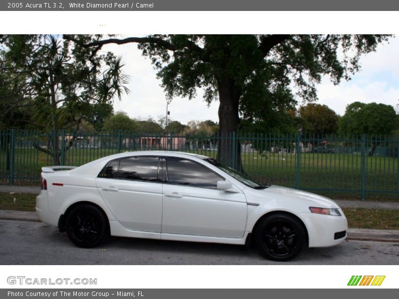White Diamond Pearl / Camel 2005 Acura TL 3.2