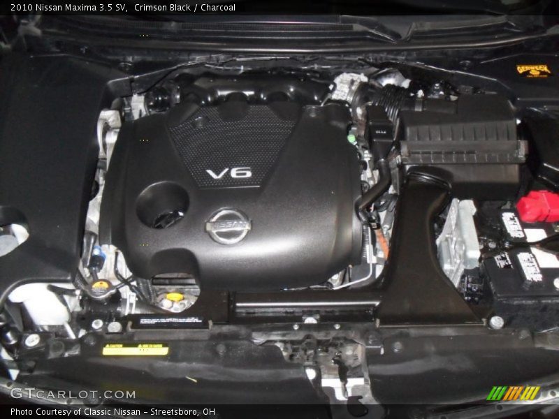 Crimson Black / Charcoal 2010 Nissan Maxima 3.5 SV