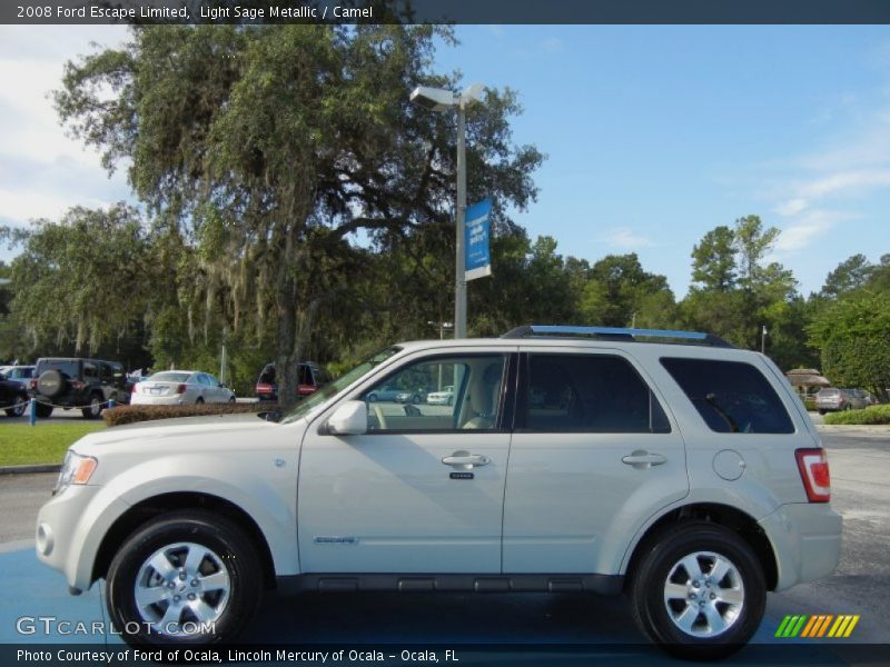 Light Sage Metallic / Camel 2008 Ford Escape Limited