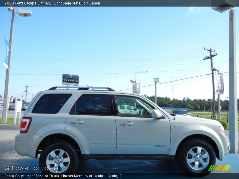 Light Sage Metallic / Camel 2008 Ford Escape Limited