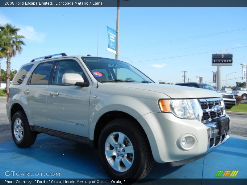 Light Sage Metallic / Camel 2008 Ford Escape Limited