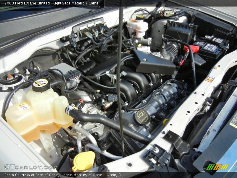 Light Sage Metallic / Camel 2008 Ford Escape Limited