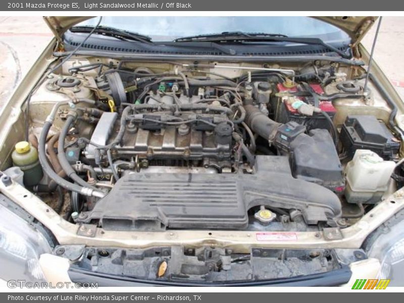 Light Sandalwood Metallic / Off Black 2001 Mazda Protege ES