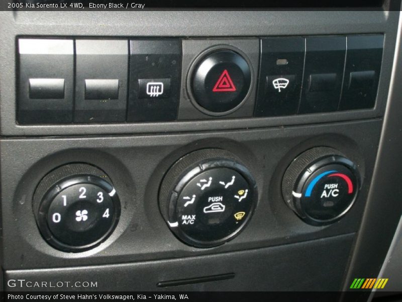 Ebony Black / Gray 2005 Kia Sorento LX 4WD