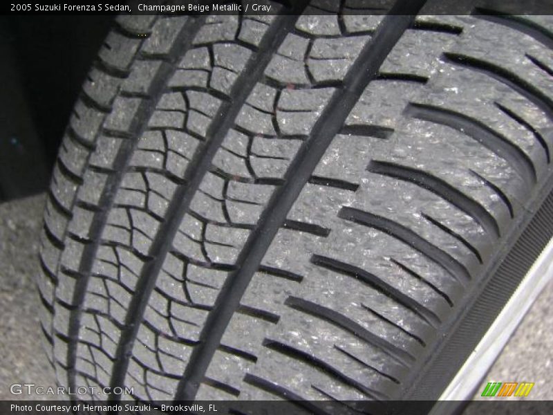 Champagne Beige Metallic / Gray 2005 Suzuki Forenza S Sedan