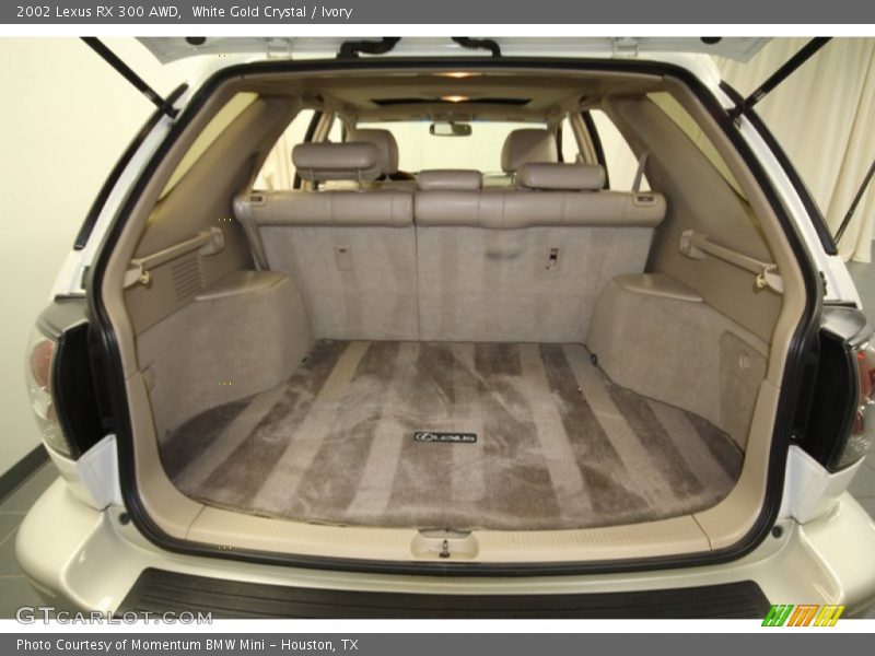 White Gold Crystal / Ivory 2002 Lexus RX 300 AWD