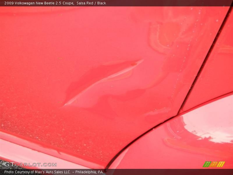 Salsa Red / Black 2009 Volkswagen New Beetle 2.5 Coupe