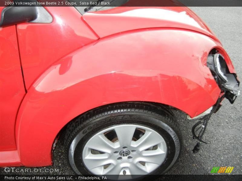 Salsa Red / Black 2009 Volkswagen New Beetle 2.5 Coupe