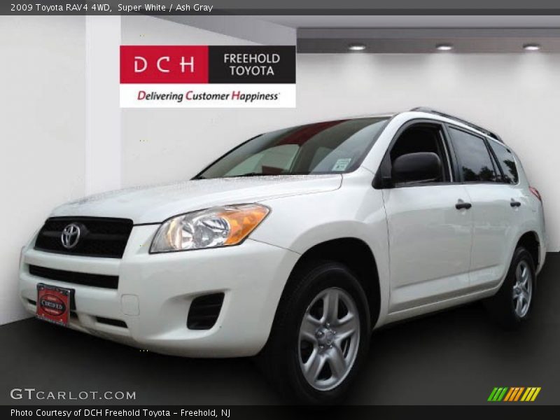 Super White / Ash Gray 2009 Toyota RAV4 4WD