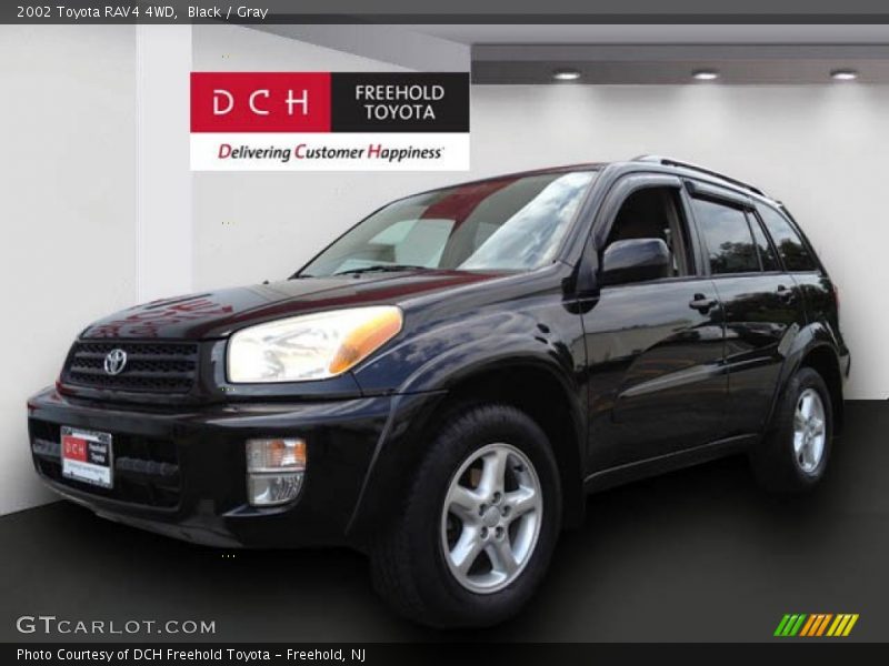 Black / Gray 2002 Toyota RAV4 4WD
