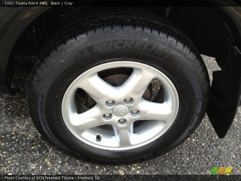 Black / Gray 2002 Toyota RAV4 4WD