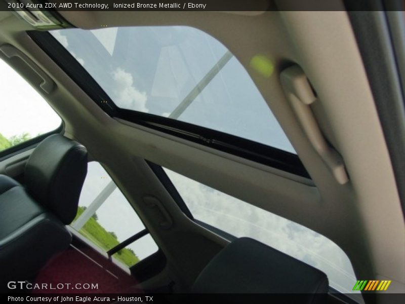 Ionized Bronze Metallic / Ebony 2010 Acura ZDX AWD Technology