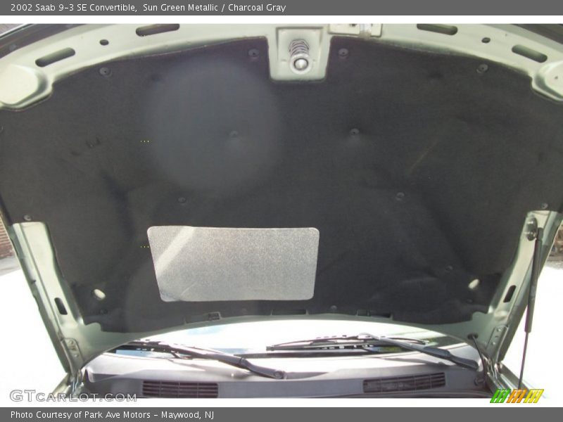 Sun Green Metallic / Charcoal Gray 2002 Saab 9-3 SE Convertible
