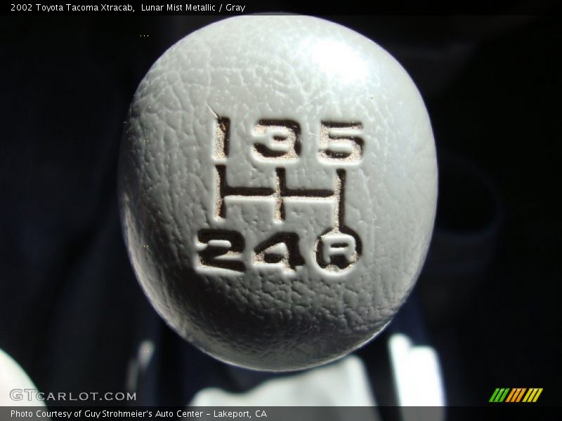 Lunar Mist Metallic / Gray 2002 Toyota Tacoma Xtracab