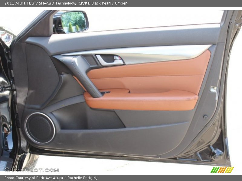 Door Panel of 2011 TL 3.7 SH-AWD Technology