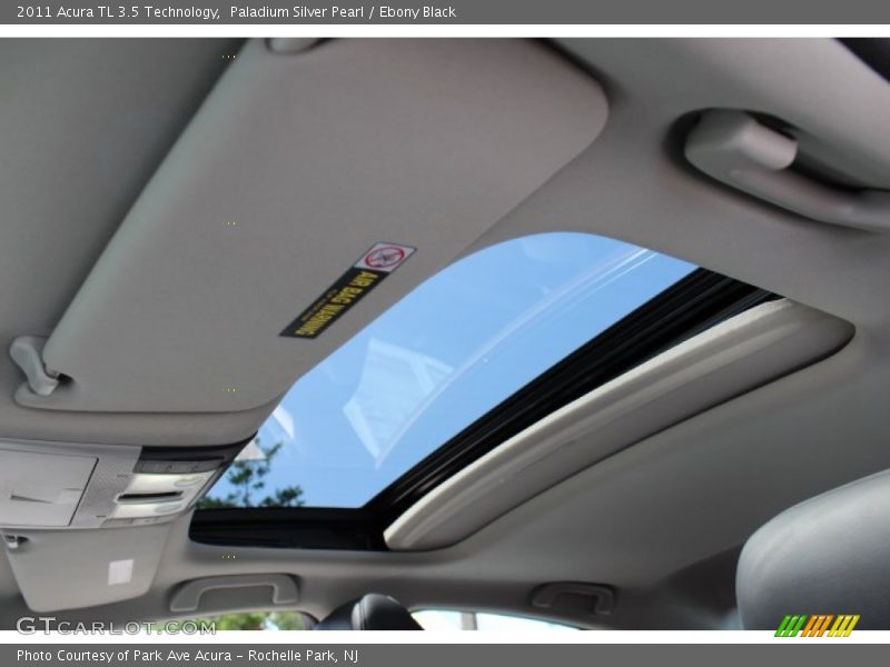 Paladium Silver Pearl / Ebony Black 2011 Acura TL 3.5 Technology