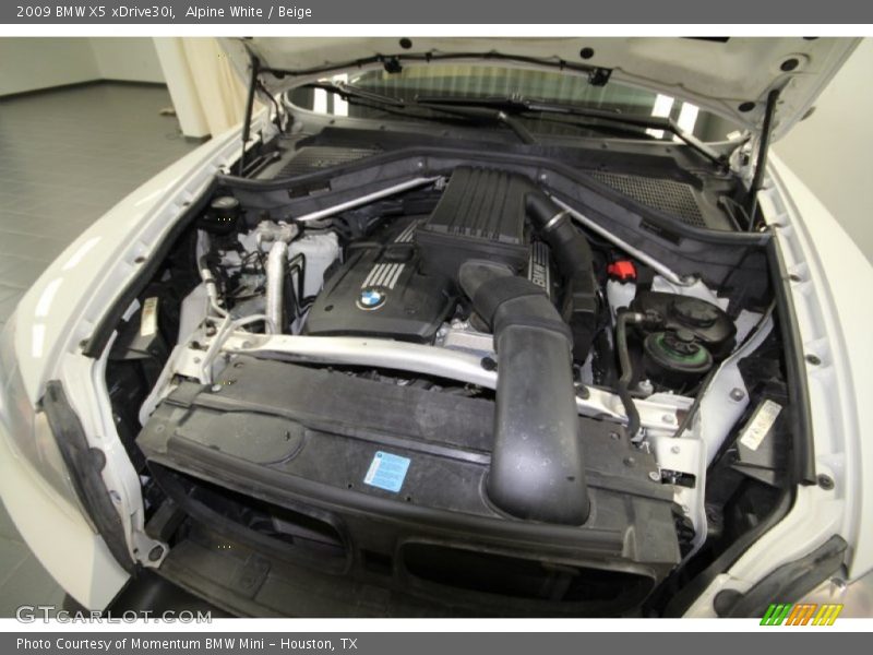Alpine White / Beige 2009 BMW X5 xDrive30i