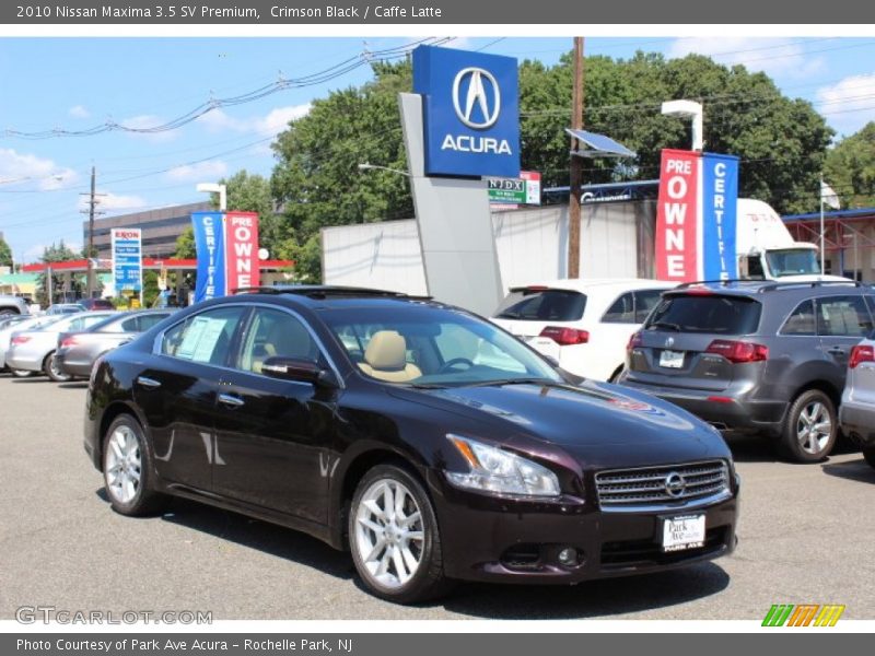 Crimson Black / Caffe Latte 2010 Nissan Maxima 3.5 SV Premium