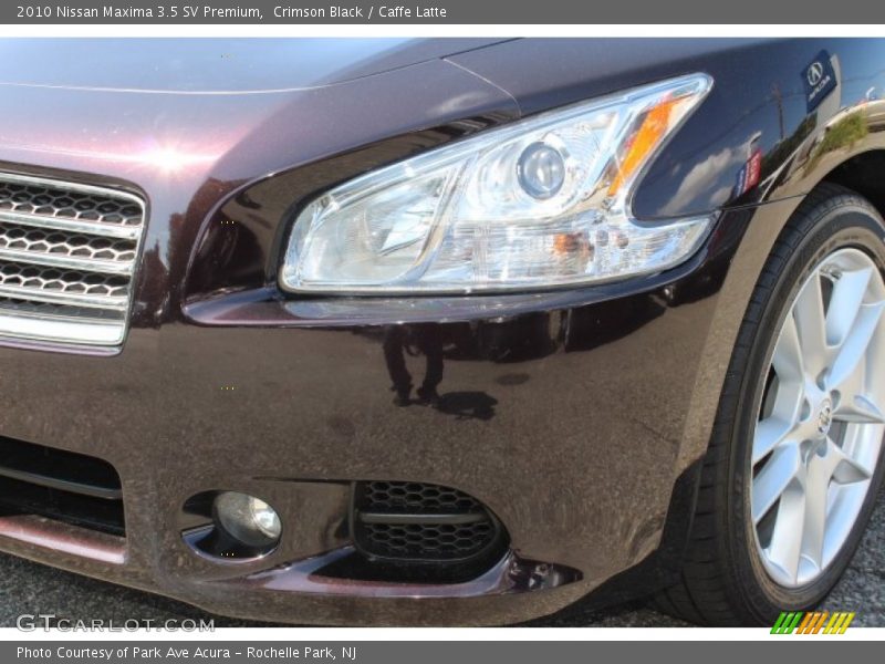 Crimson Black / Caffe Latte 2010 Nissan Maxima 3.5 SV Premium