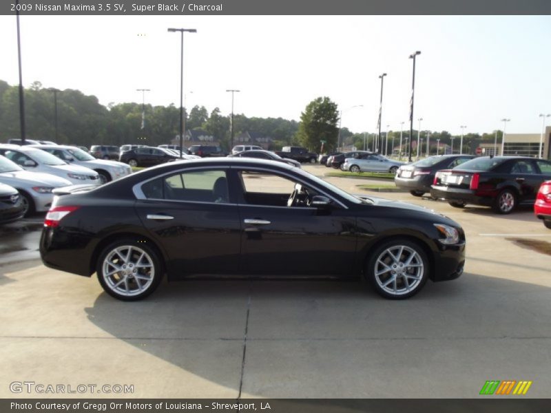 Super Black / Charcoal 2009 Nissan Maxima 3.5 SV