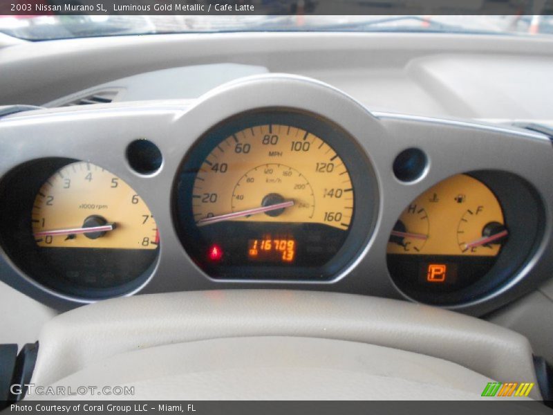 Luminous Gold Metallic / Cafe Latte 2003 Nissan Murano SL