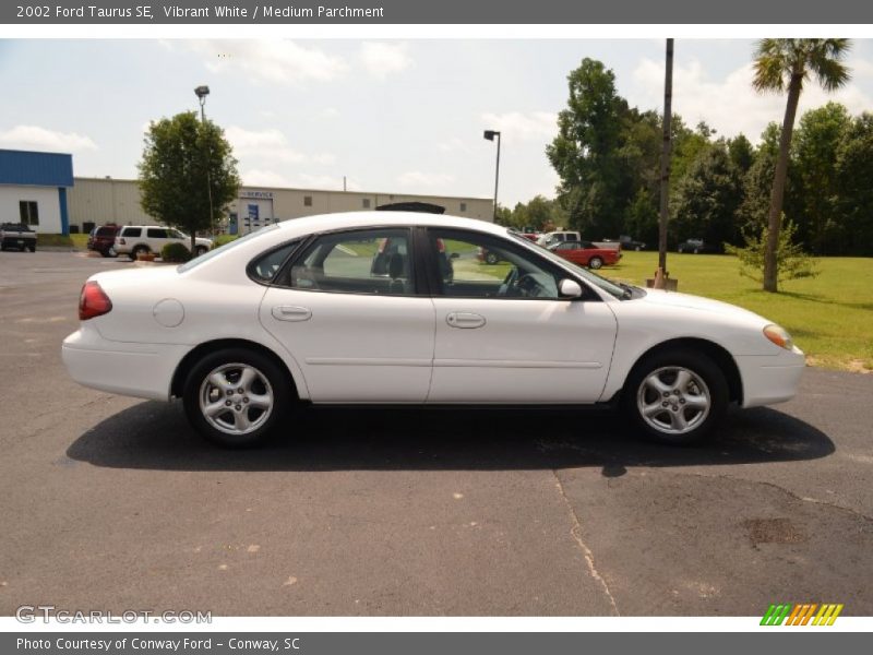 Vibrant White / Medium Parchment 2002 Ford Taurus SE
