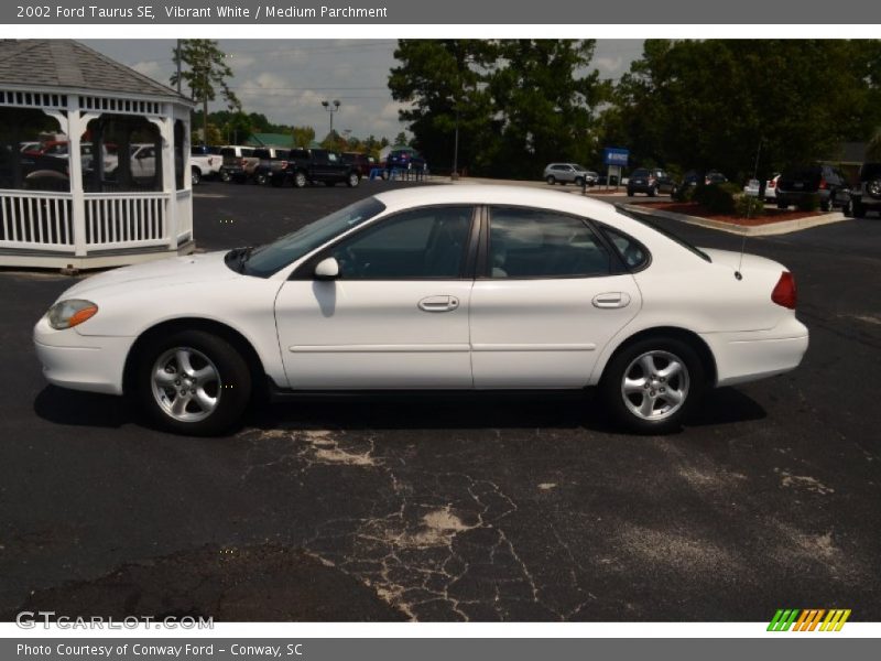 Vibrant White / Medium Parchment 2002 Ford Taurus SE