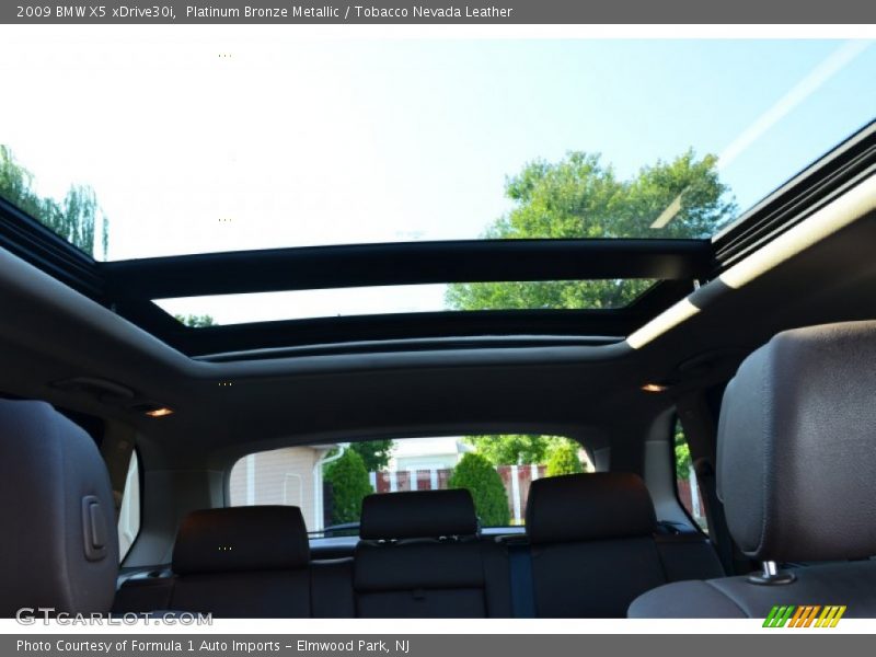 Platinum Bronze Metallic / Tobacco Nevada Leather 2009 BMW X5 xDrive30i
