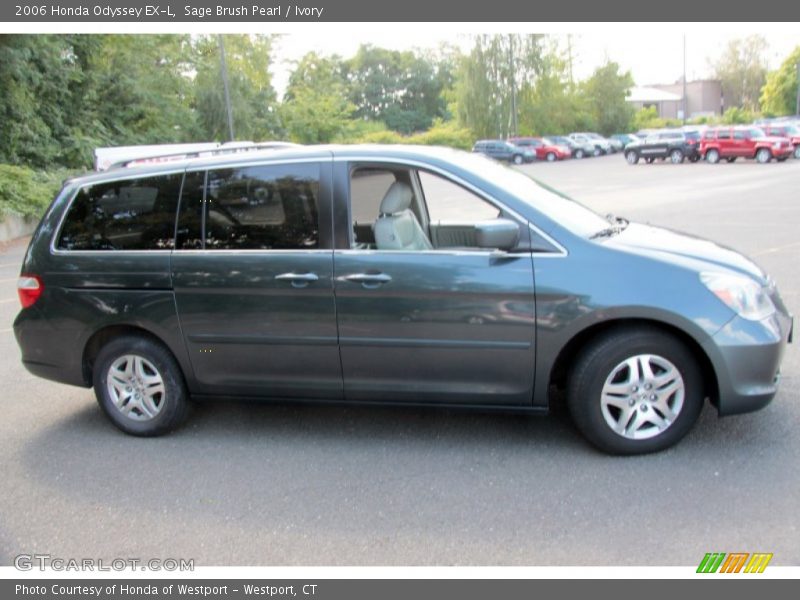 Sage Brush Pearl / Ivory 2006 Honda Odyssey EX-L