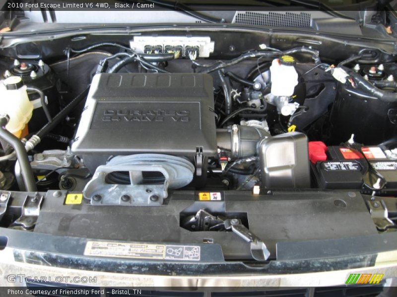 Black / Camel 2010 Ford Escape Limited V6 4WD