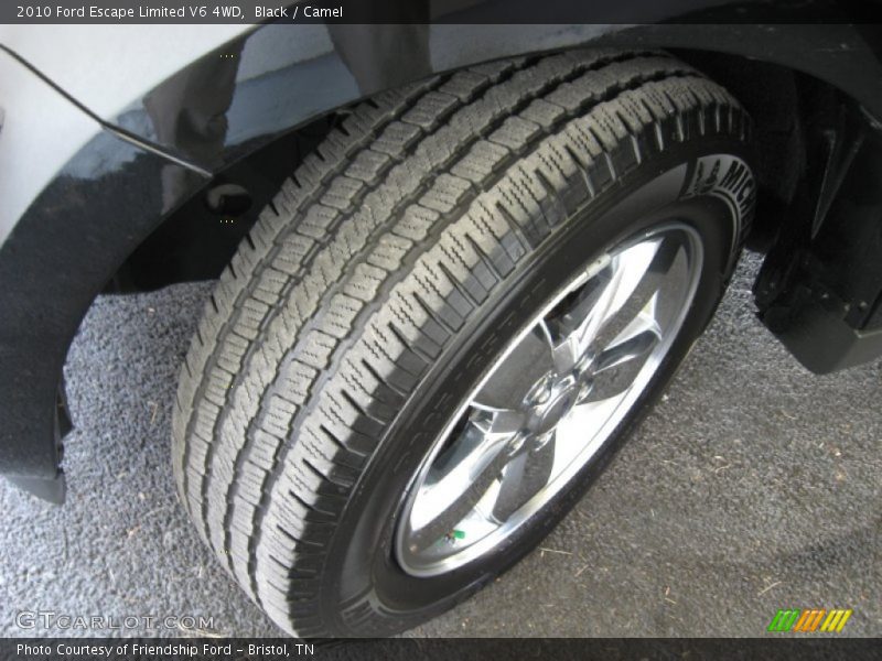 Black / Camel 2010 Ford Escape Limited V6 4WD