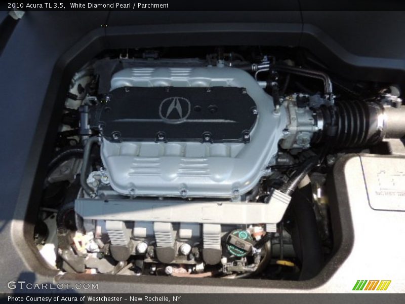 White Diamond Pearl / Parchment 2010 Acura TL 3.5