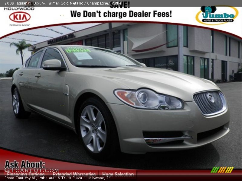 Winter Gold Metallic / Champagne/Truffle 2009 Jaguar XF Luxury