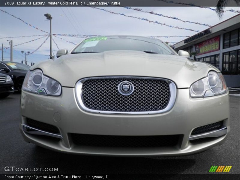 Winter Gold Metallic / Champagne/Truffle 2009 Jaguar XF Luxury