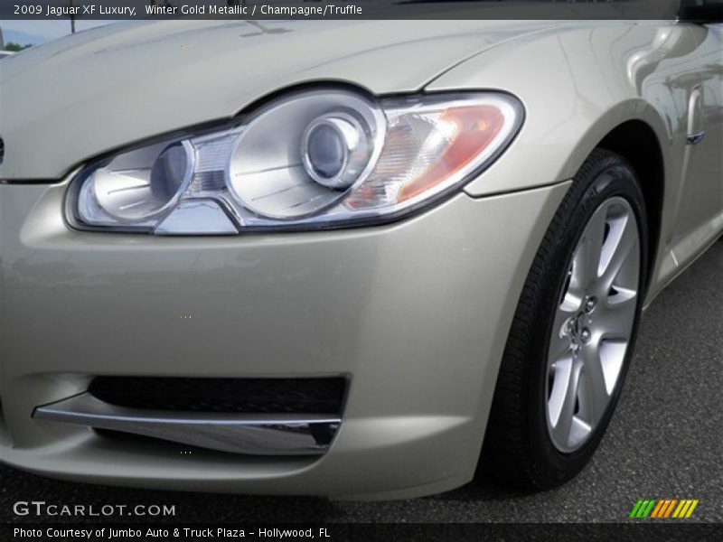 Winter Gold Metallic / Champagne/Truffle 2009 Jaguar XF Luxury