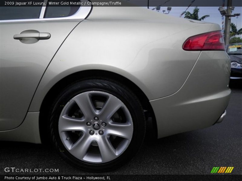 Winter Gold Metallic / Champagne/Truffle 2009 Jaguar XF Luxury