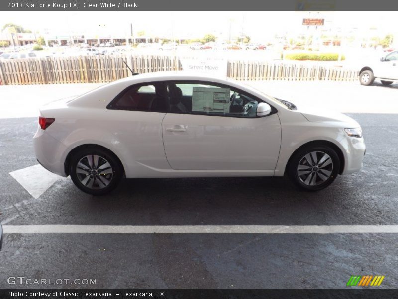 Clear White / Black 2013 Kia Forte Koup EX