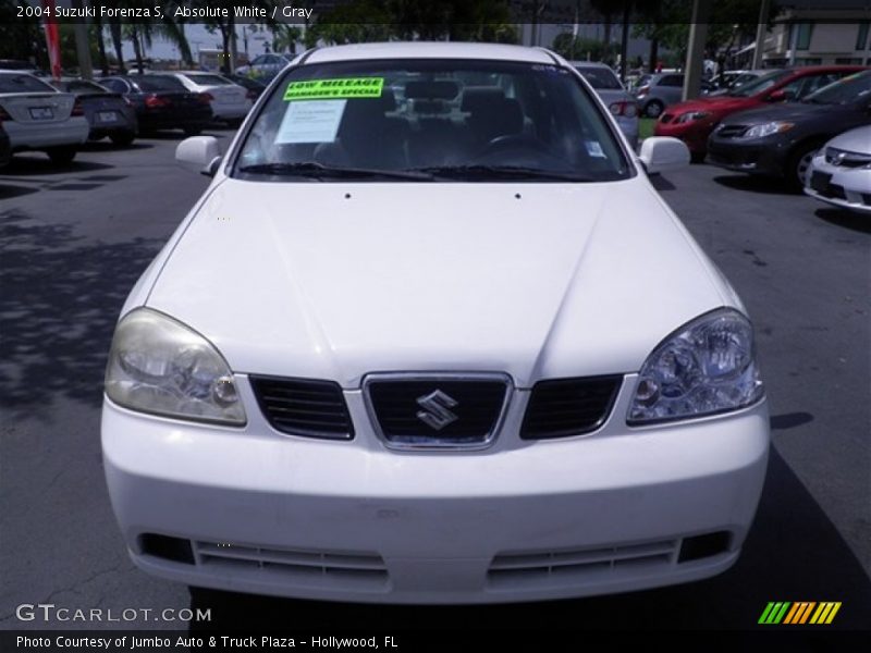 Absolute White / Gray 2004 Suzuki Forenza S