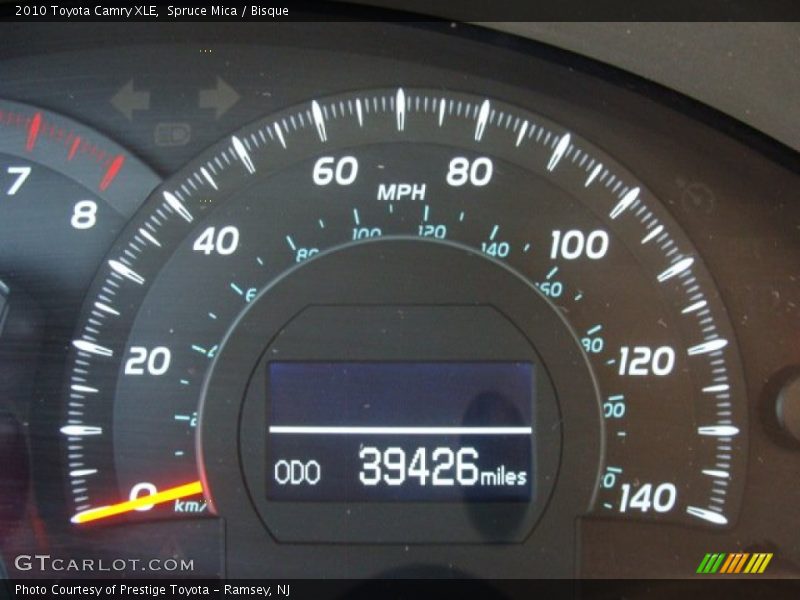 Spruce Mica / Bisque 2010 Toyota Camry XLE