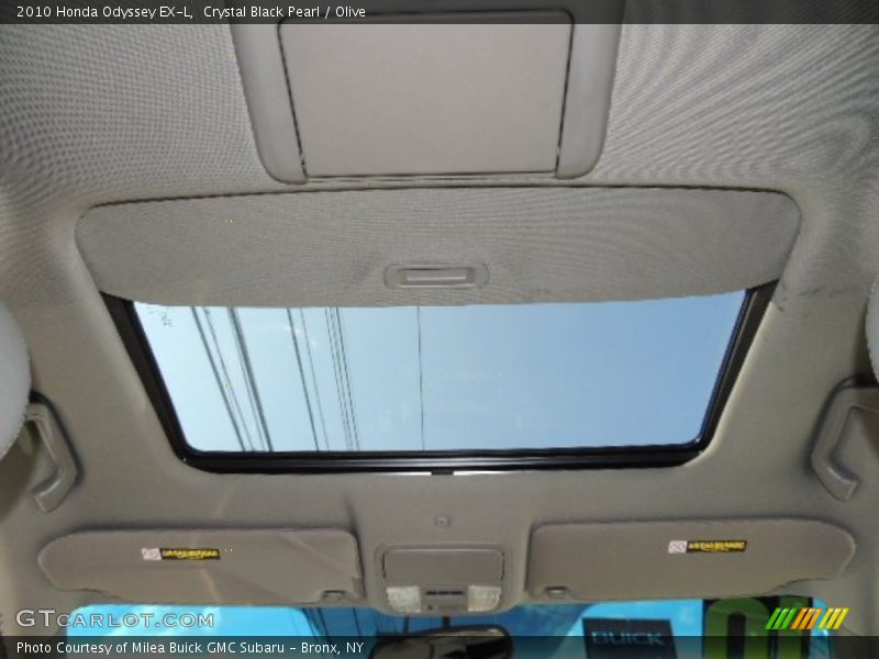 Crystal Black Pearl / Olive 2010 Honda Odyssey EX-L