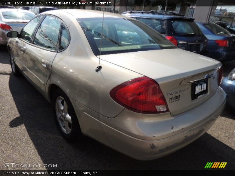 Gold Ash Metallic / Medium Parchment 2003 Ford Taurus SES