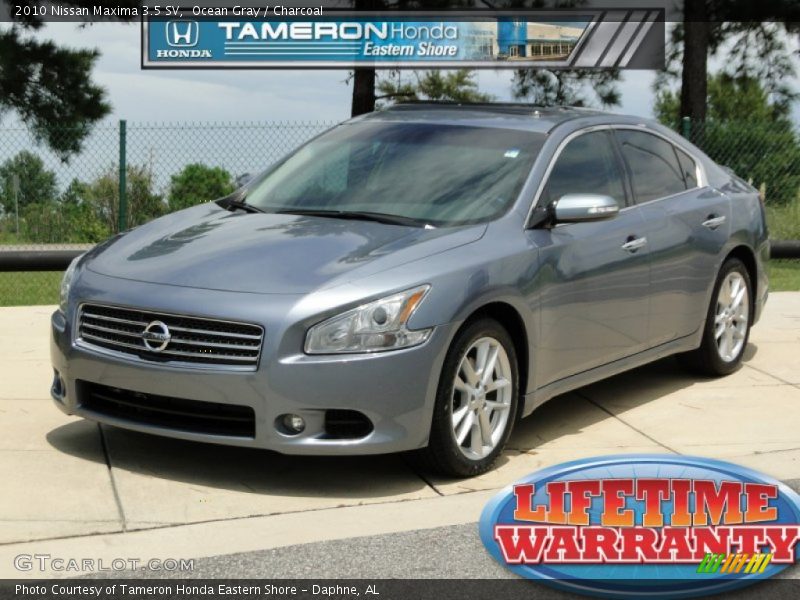 Ocean Gray / Charcoal 2010 Nissan Maxima 3.5 SV